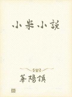 小米小说