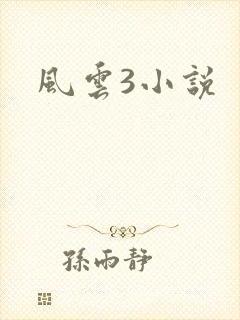 风云3小说