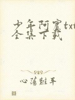 少年阿宾txt全集下载