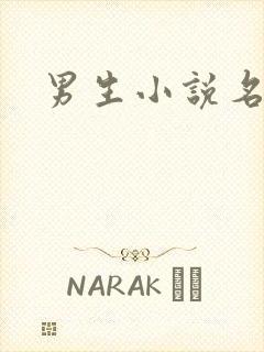 男生小说名字
