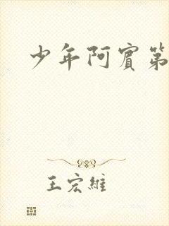 少年阿宾第二部