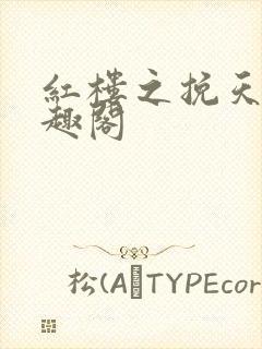 红楼之挽天倾笔趣阁