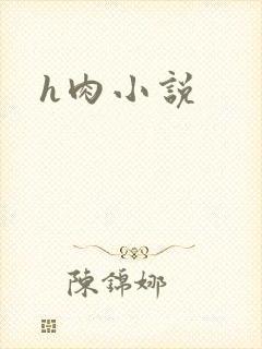 h肉小说