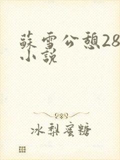 苏雪公憩28篇小说