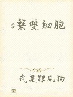 s系双细胞