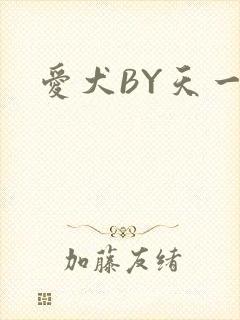爱犬BY天一