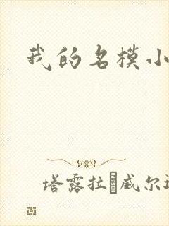 我的名模小娇妻