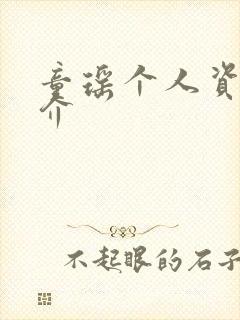 童瑶个人资料简介