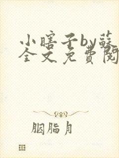 小瞎子by苏软全文免费阅读