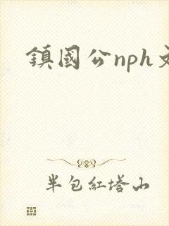 镇国公nph文