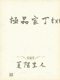 极品家丁txt