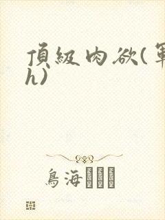 顶级肉欲(军高h)