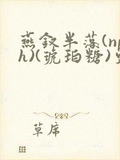 燕钗半落(nph)(琥珀糖)更新