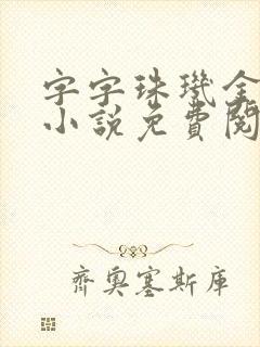 字字珠玑金银花小说免费阅读