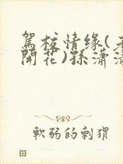 驾校情缘(老树开花)孙潇潇笔趣阁