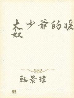 大少爷的暖床小奴