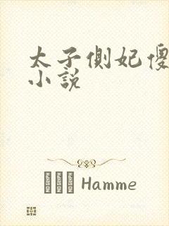 太子侧妃傻乎乎小说