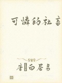 可怜的社畜分手