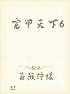 富甲天下6