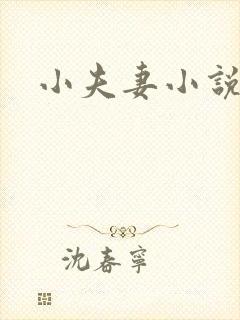 小夫妻小说