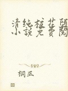 清纯校花堕落记小说免费阅读