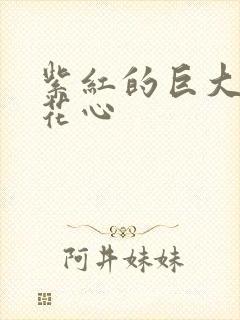 紫红的巨大顶开花心