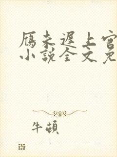 雁未迟上官穿越小说全文免费阅读