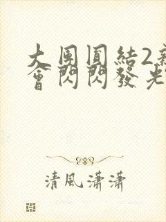 大团圆结2亲情会闪闪发光亲情会2