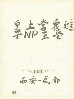 皇上当众进入太子NP主受