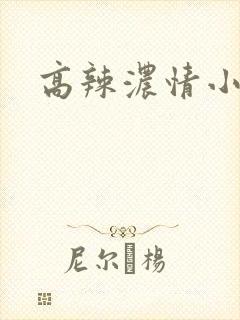 高辣浓情小说
