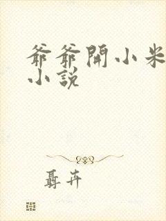 爷爷开小米的包小说