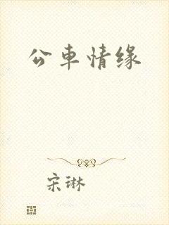 公车情缘