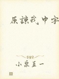 原谅我中字