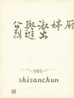 公与淑婷厨房猛烈进出