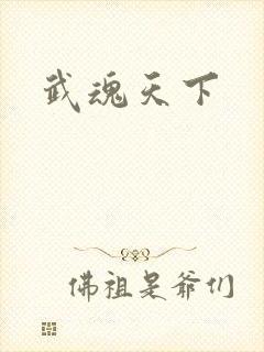 武魂天下