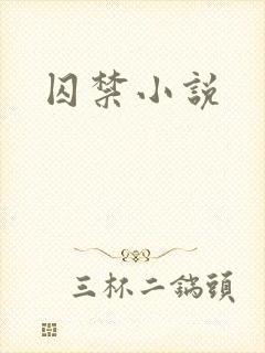 囚禁小说