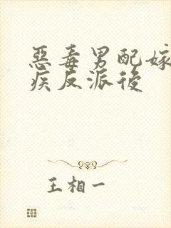 恶毒男配嫁给残疾反派后