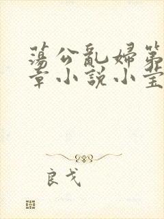 荡公乱妇第51章小说小莹