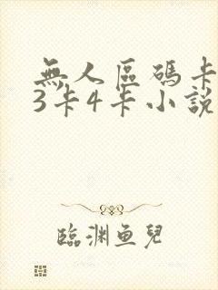 无人区码卡二卡3卡4卡小说