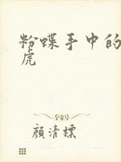 粉蝶手中的纸老虎