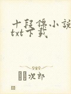 十段锦小说全本txt下载