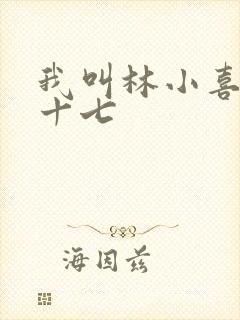 我叫林小喜今年十七