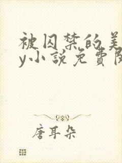 被囚禁的美人by小说免费阅读