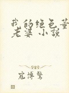 我的绝色董事长老婆 小说