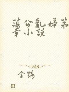 荡公乱妇第51章小说