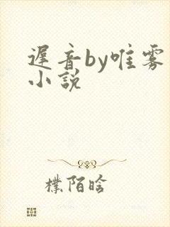 迟音by唯雾的小说