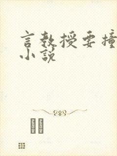 言教授要撞坏了小说