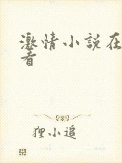 激情小说在线观看