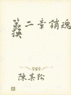 第二章销魂的交换