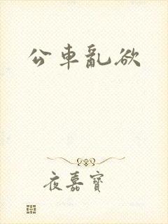 公车乱欲